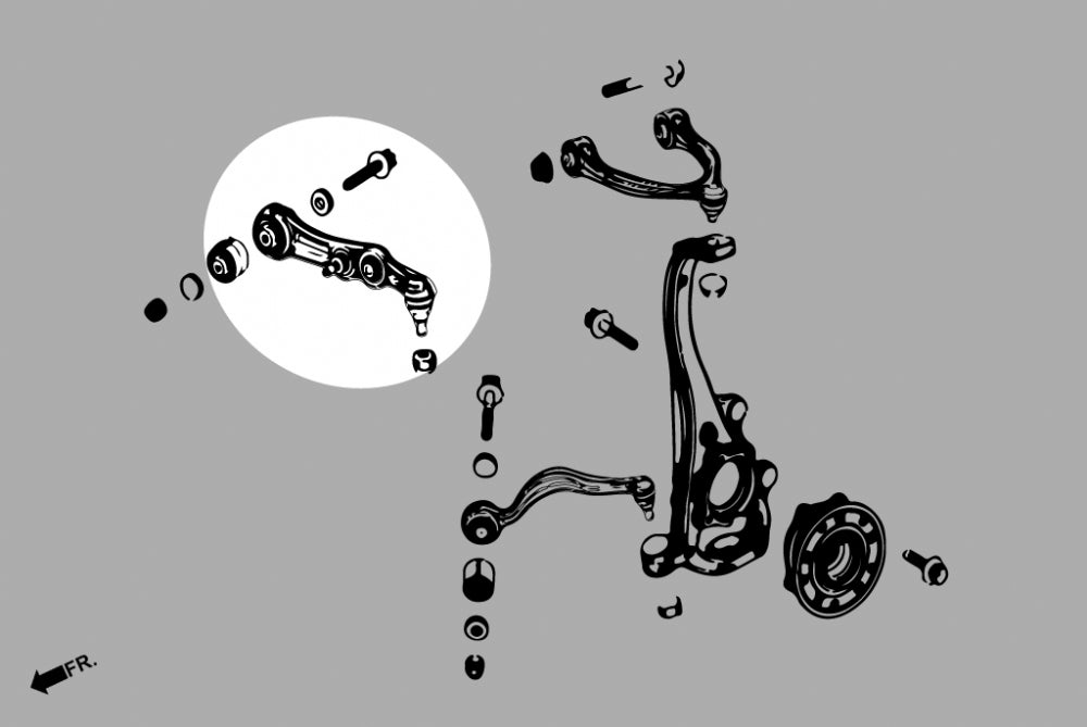 Front Lower - Rear Arm