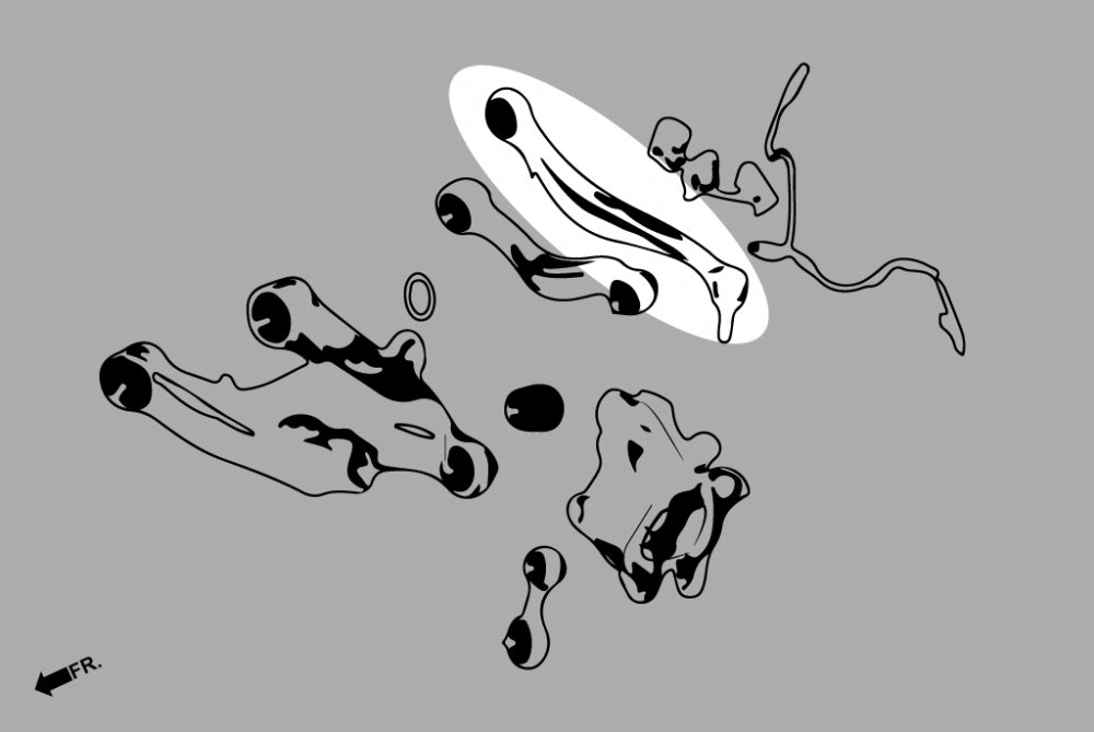 Adjustable Rear Toe Kit (Harden Rubber) for BMW 5-Series F10 F11 GT F07 | 6-Series F06 F12 F13 | 7-Series F01 F02 | Rolls-Royce Ghost Wraith Dawn