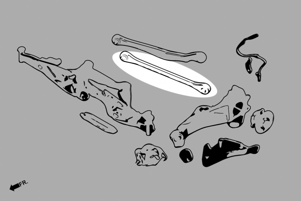 Rear Lower Arms (Pillow Ball) for BMW 1/2 Series X1/2 F40/44/45/46/48/49 | Mini F54/F55/F56/F57/F60