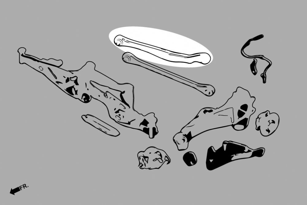 Rear Upper Arms (Pillow Ball) for BMW 1 Series F40 | X1 X2 F39/F48/F49 | 2 Series F44/F45/F46 | Mini F54/55/56/57/60