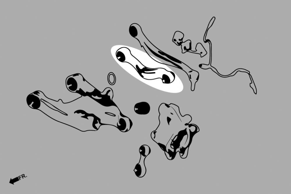 Rear Camber Kit for BMW 5-Series F10 F11 GT F07 | 6-Series F06 F12 F13 | 7-Series F01 F02 | Rolls-Royce Ghost Wraith Dawn